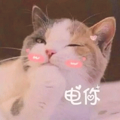 示例图片